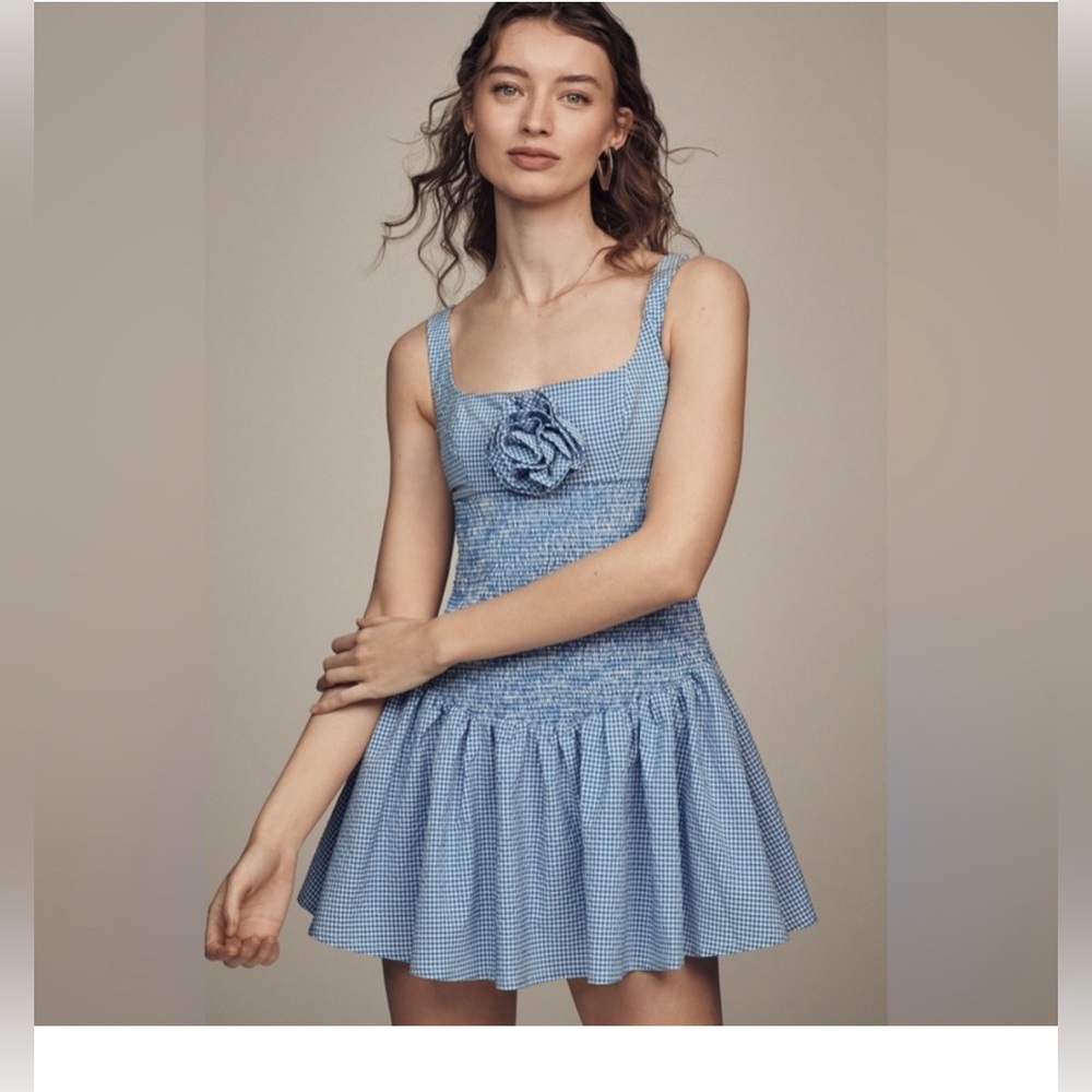 Blue Gingham Maeve Dress (Anthropologie)